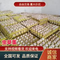 高品质虫草蛋五谷喂养土鸡蛋一件36斤商超品质全国发货