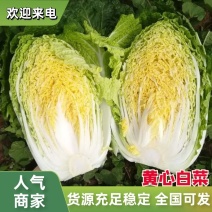 黄心大白菜上市，3-6斤，需要联系，各种包装