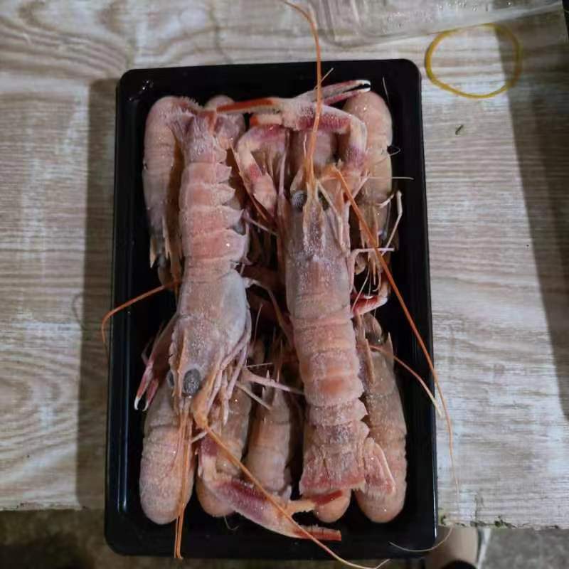 【精选】深海鳌虾海龙虾一手货源质量保证新鲜发货全国