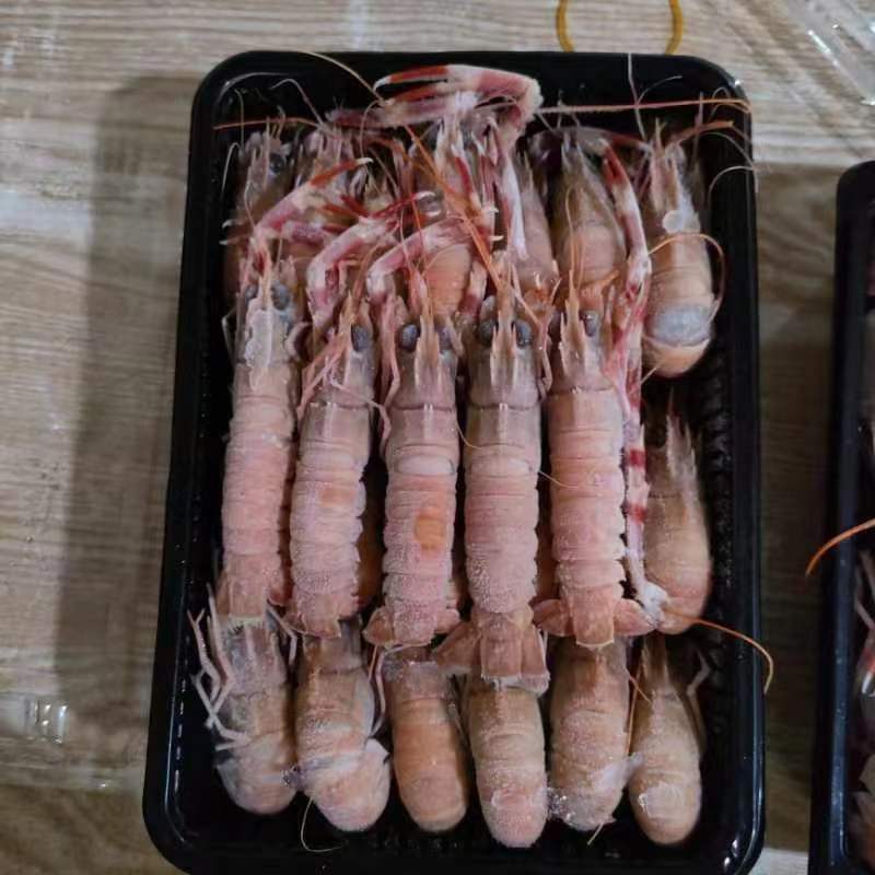 海鳌虾海龙虾规格齐全鳌虾新鲜发货产地批发欢迎致电