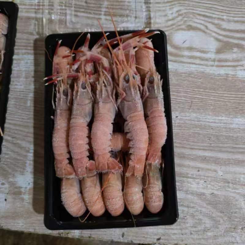 海鳌虾海龙虾规格齐全鳌虾新鲜发货产地批发欢迎致电