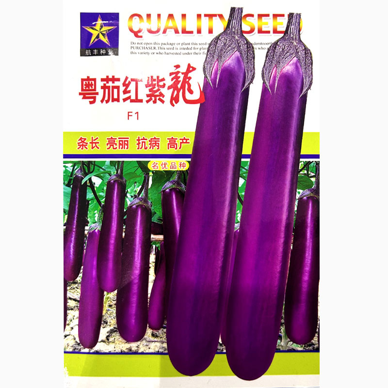 粤茄红紫龙紫红长茄种子一代杂交高产紫红茄子条长果