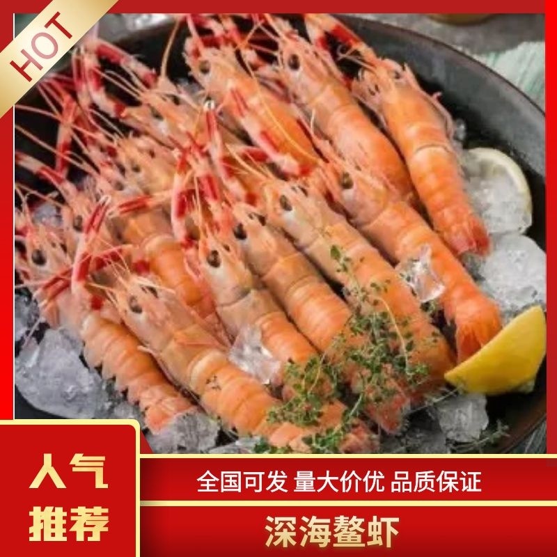 【精选】深海鳌虾海龙虾一手货源质量保证新鲜发货全国