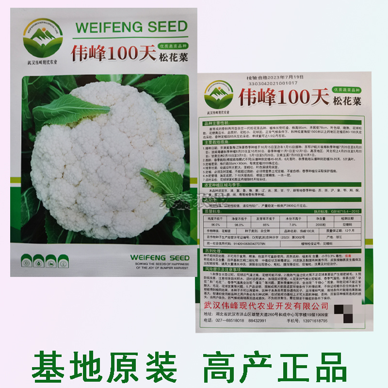 基地优品100天越冬耐寒松花菜种子春秋青梗白菜花椰菜种子