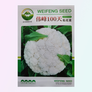 基地优品100天越冬耐寒松花菜种子春秋青梗白菜花椰菜种子