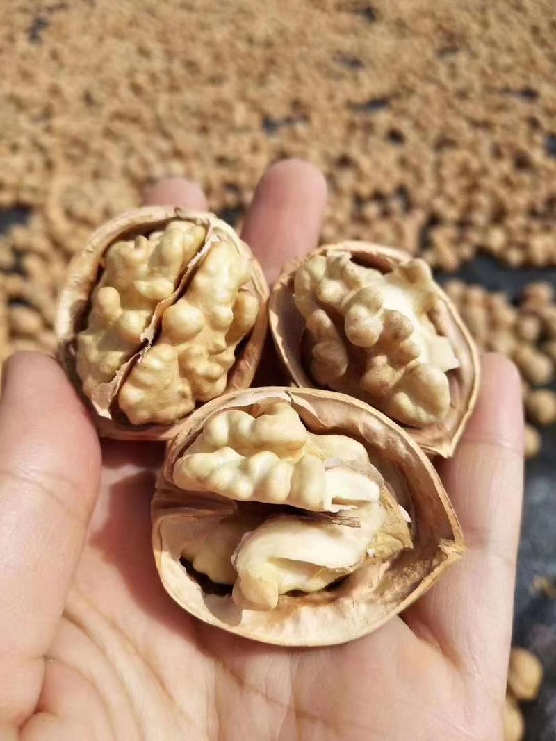 纸皮核桃新疆阿克苏核桃坚果种植面积大产量高欢迎联系