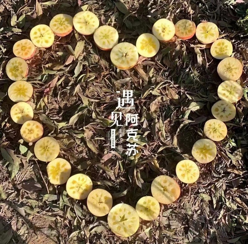 新疆阿克苏糖心苹果大量上市欢迎订购量大从优皮薄无渣酸甜可口