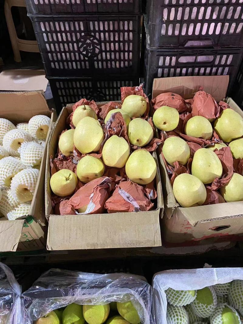蒲城酥梨，砀山酥现摘现发，皮薄多汁，产地直发对接全国
