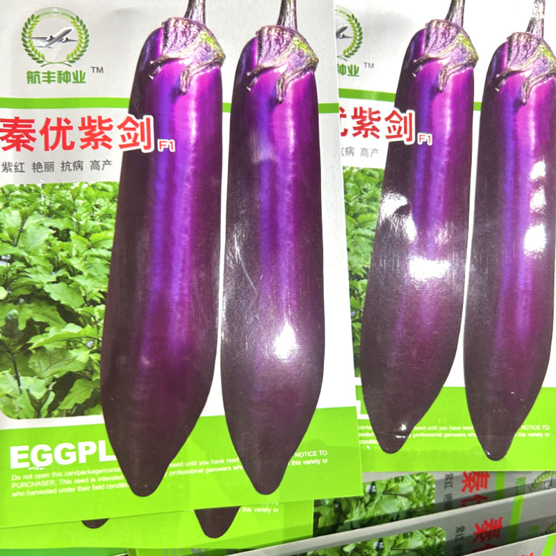 紫长茄子种子秦优紫剑长棒早熟杂交肉质白抗病高产
