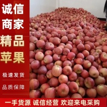 云南昭通红露苹果品质保证价格透明大量上市欢迎来电采购