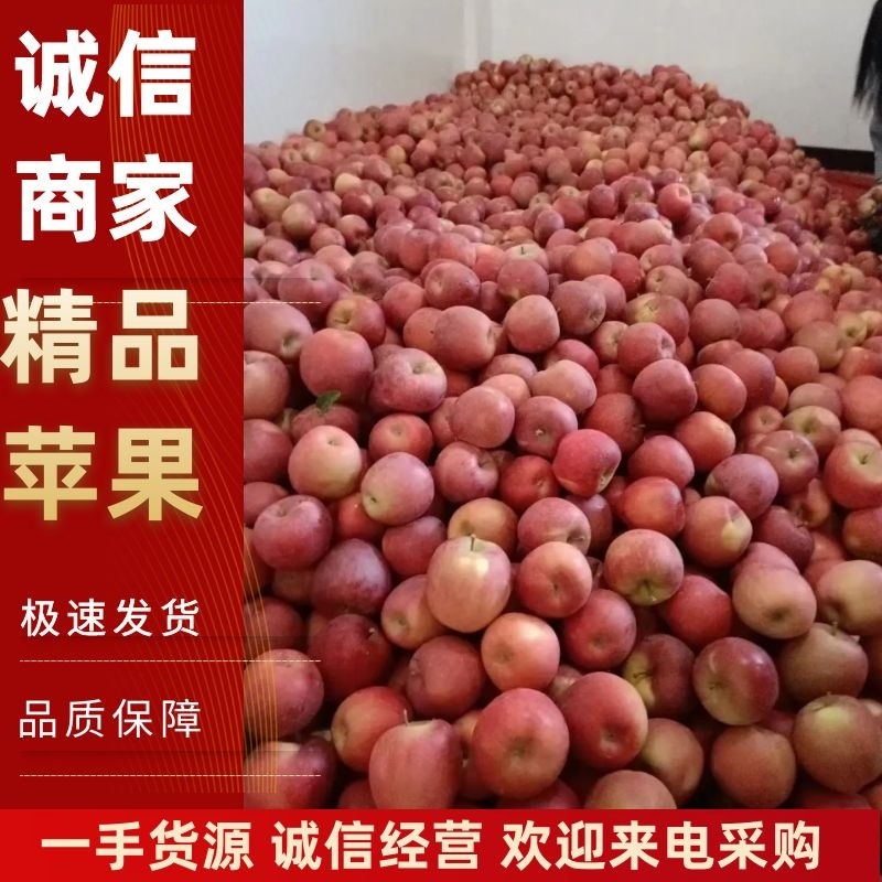 精品昭通冰糖心苹果大量上市诚信经营一手货源欢迎来电采购