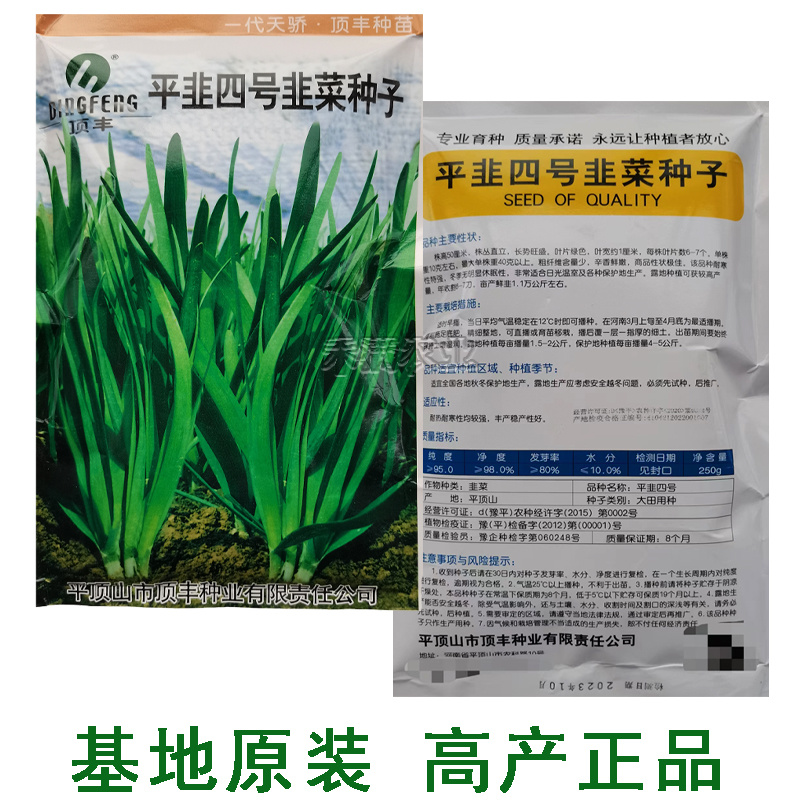 种一次收4年亩产万斤杂交一代韭菜种籽四季韭菜种子高产搞病