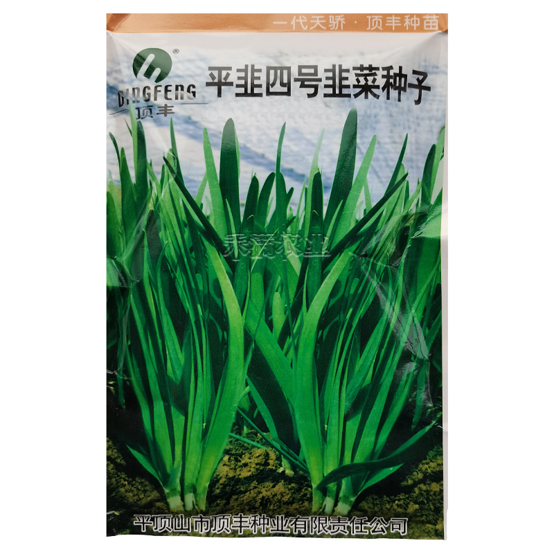 种一次收4年亩产万斤杂交一代韭菜种籽四季韭菜种子高产搞病