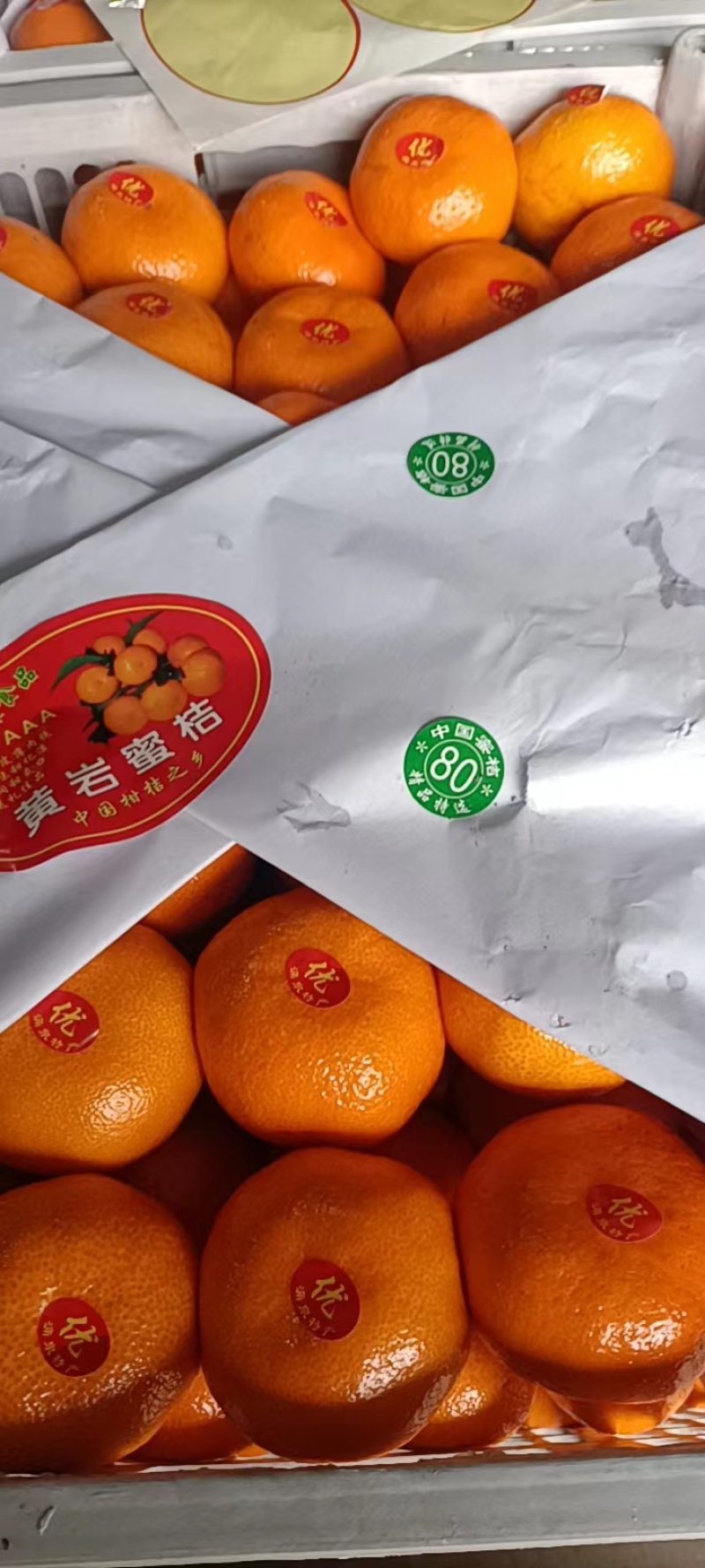 【蜜桔】浙江柑桔特早普早蜜桔大量供应对接全国市场