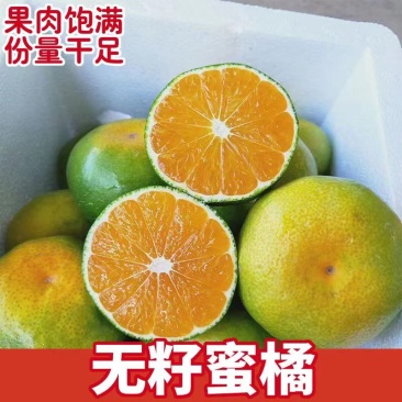 【蜜桔】浙江蜜橘皮薄多汁现摘现发一手货源欢迎咨询