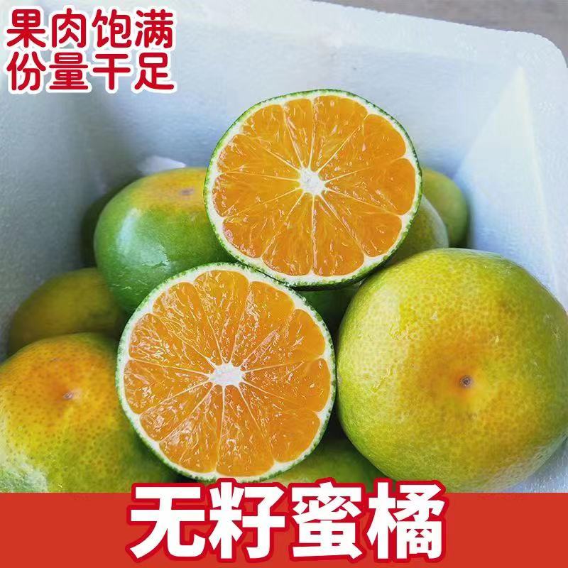 【蜜桔】浙江蜜橘皮薄多汁现摘现发一手货源欢迎咨询