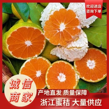 【蜜桔】浙江柑桔特早普早蜜桔大量供应对接全国市场