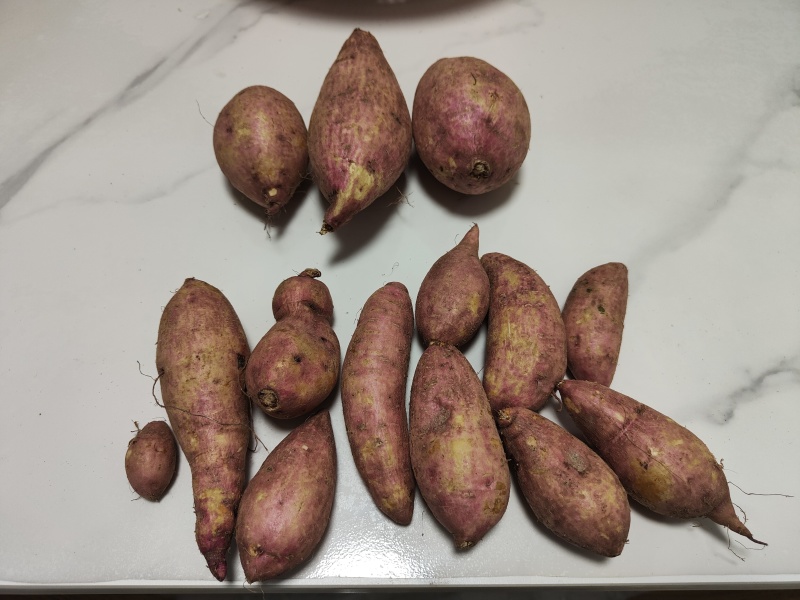 精品蜜薯，产地直发货源充足，质量好，软糯香甜，电联采购