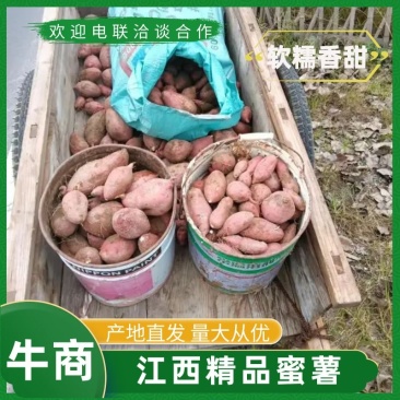 精品蜜薯，产地直发货源充足，质量好，软糯香甜，电联采购
