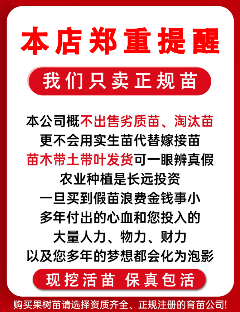 安徽锦春黄桃，上海林科所培育，6月初成熟，保证品种