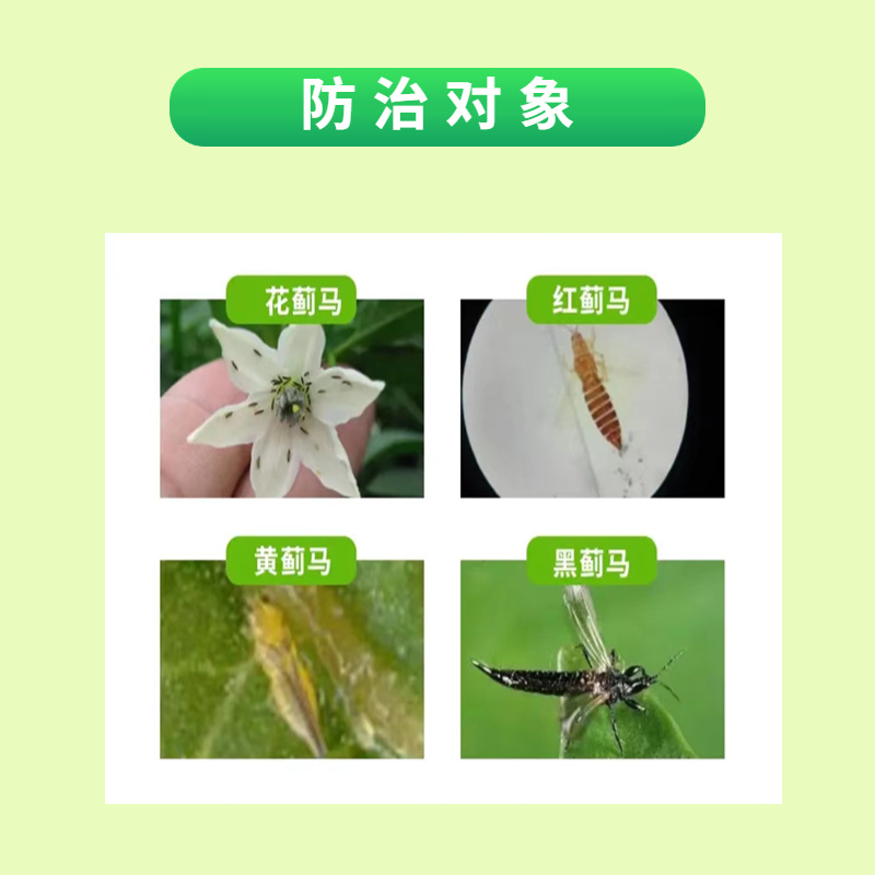 蓟立刻高效助剂专注于抗性蓟马蚜虫跳甲白粉虱斑潜蝇等100