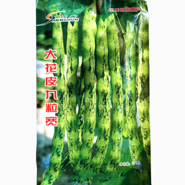大花皮九粒宽豆角种子中熟高产蔬菜籽芸豆味浓春秋播