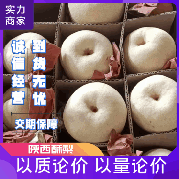 陕西酥梨上市中，保质保量，口感脆甜多汁，代发全国