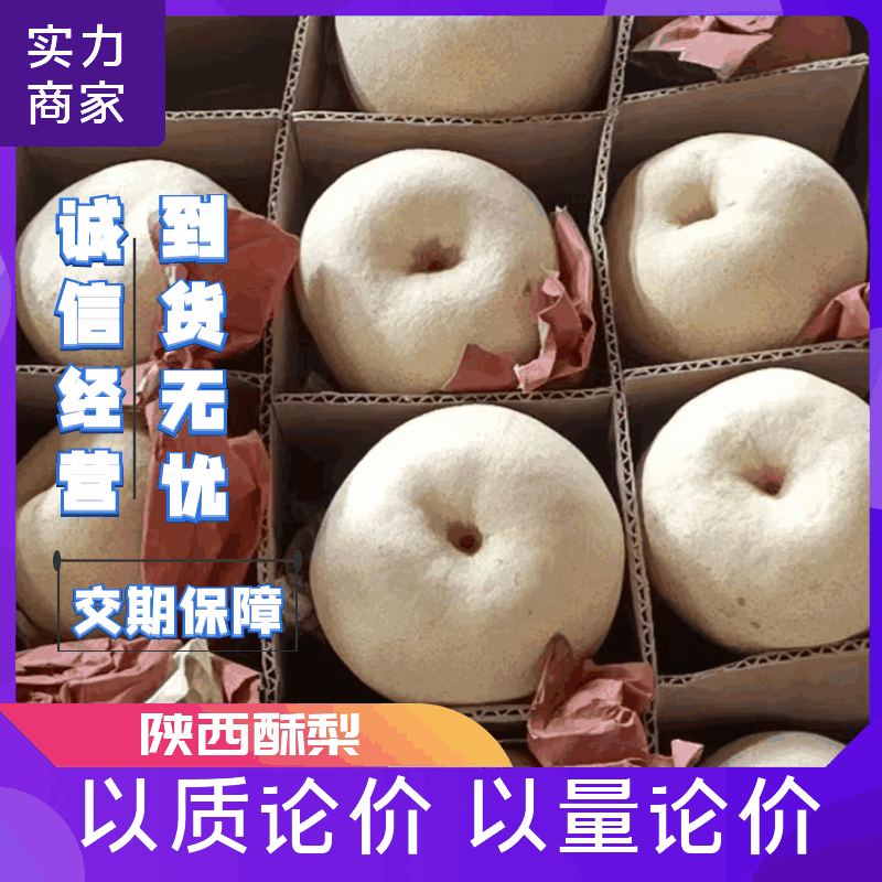 陕西酥梨上市中，保质保量，口感脆甜多汁，代发全国