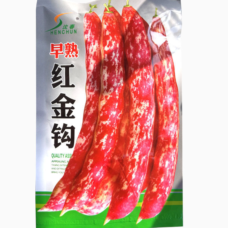 东北红金钩油豆种子早熟四季豆角种籽红色金勾芸豆种子