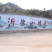 山楂树苗甜红子山楂苗现挖现发合同发货