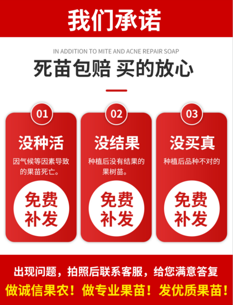 山楂树苗甜红子山楂苗现挖现发合同发货