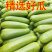 【西葫芦】连云港绿皮西葫芦大量供应对接各大市场电商