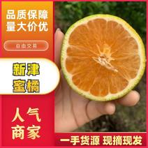 四川新津蜜橘，品质保证，支持视频，价格真实欢迎选购