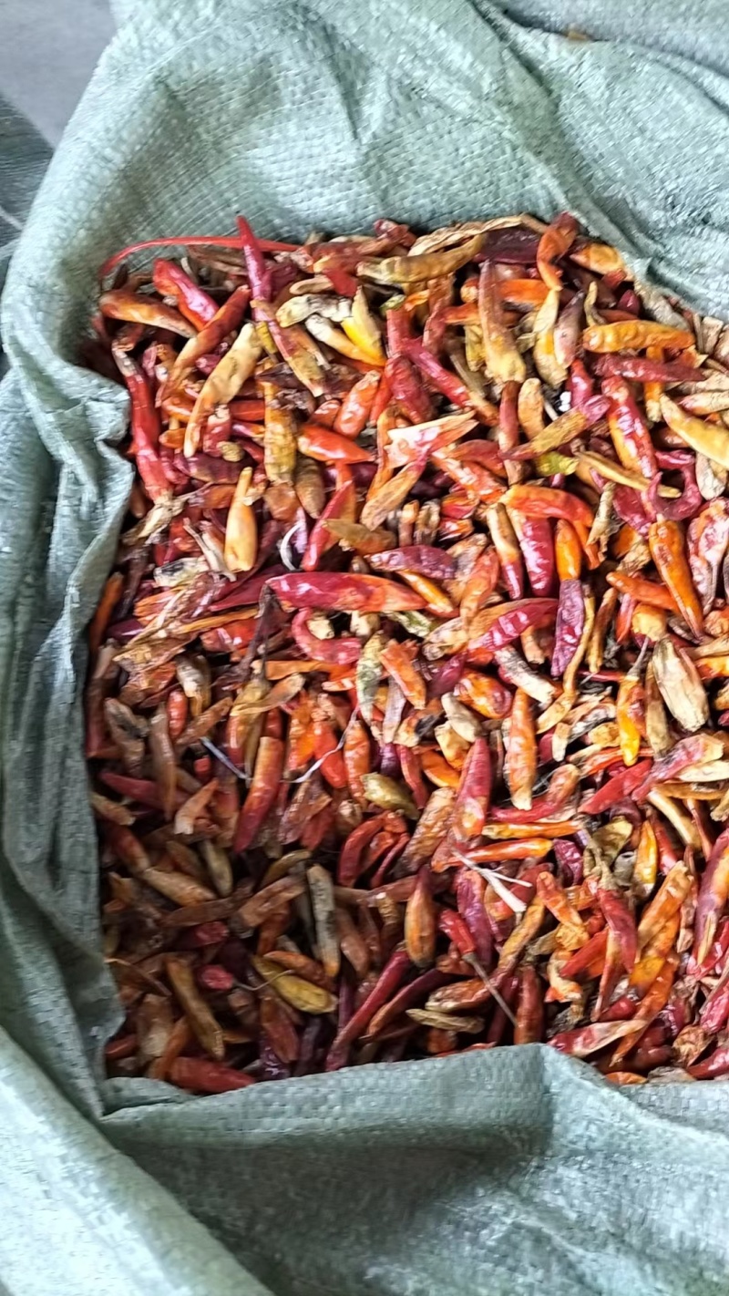 花皮椒（捡皮，二红）干辣椒对接电商市场商超等各类客户