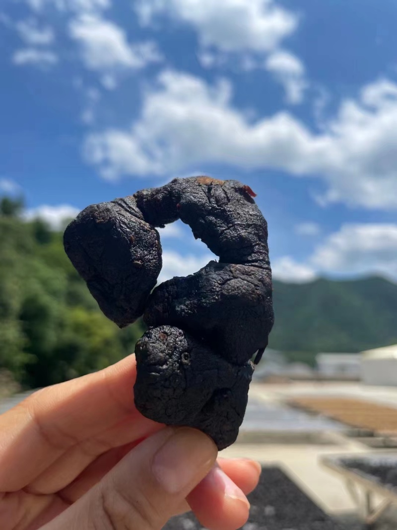 安徽池州九华山黄精九蒸九晒黄精产地直供可零售可批发满意为止