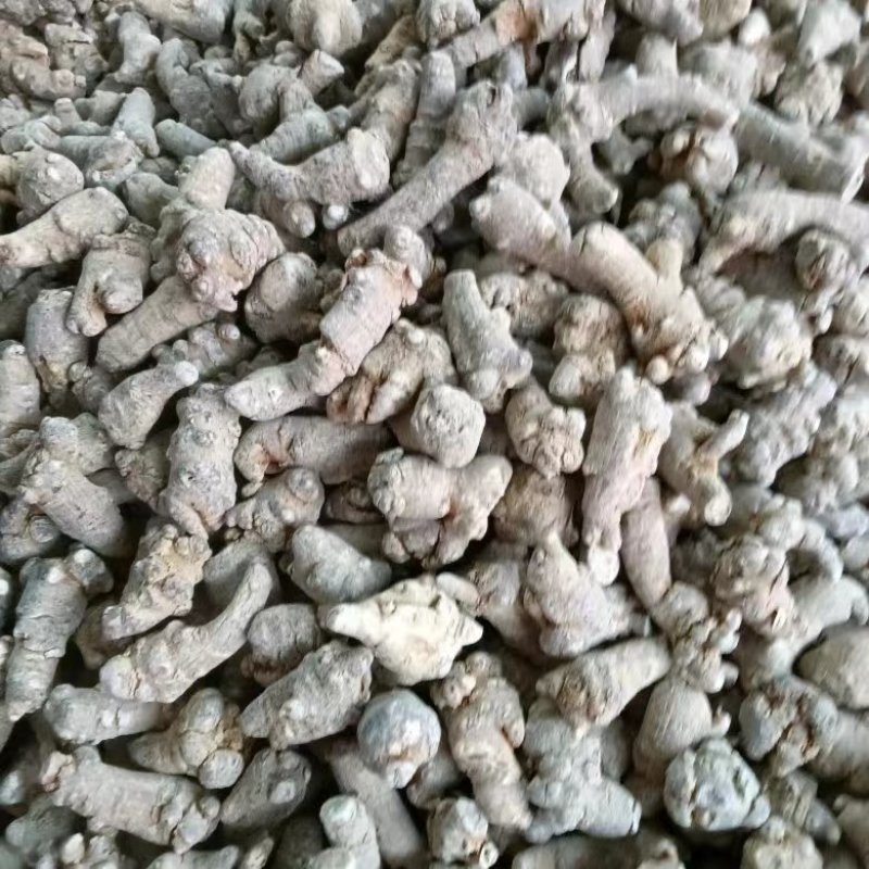 云南文山三七产地一手货源质量保证欢迎来电咨询