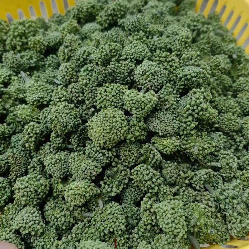 云南精品三七花大量上市产地一手货源欢迎来电咨询