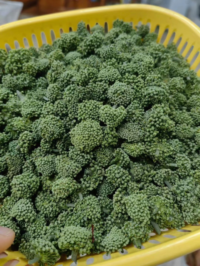 云南精品三七花大量上市产地一手货源欢迎来电咨询