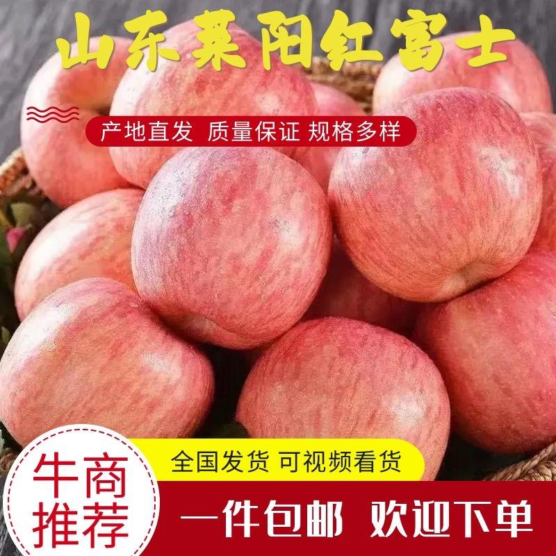 山东烟台莱阳红富士苹果一件代发包邮批发电联采购