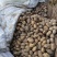 【精品】土豆丽薯6号货源稳定青海发全国支持视频实地看货