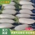 【荐】沙洋白萝卜精品小白萝卜鲜嫩精致好吃精品通货均有