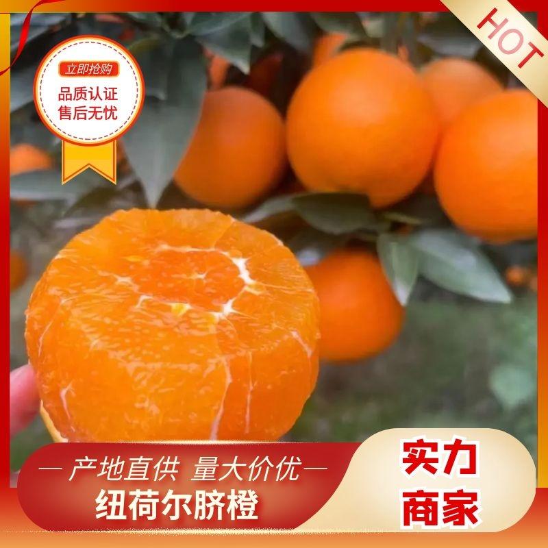 【实力】湖北宜昌纽荷尔脐橙汁多甜度高可供市场商超电商