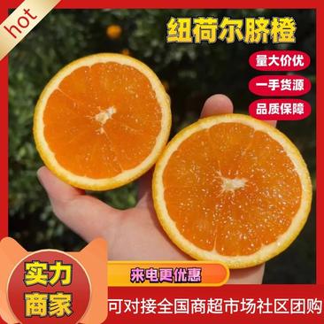 湖北宜昌纽荷尔脐橙个大甜度高产地一手货源专业代收代办20年