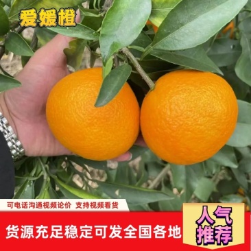 爱媛果冻橙，对接电商市场商超，一件代发我们有自己的仓库