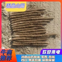 内黄县麻山药，大货，做库存，平台，微商，流动地摊