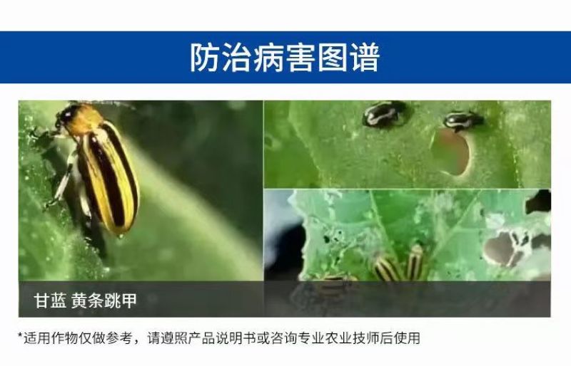 1%联苯菊酯噻虫胺联苯噻虫胺蝼蛄蛴螬金针虫地老虎根蛆葱蛆