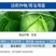 1%联苯菊酯噻虫胺联苯噻虫胺蝼蛄蛴螬金针虫地老虎根蛆葱蛆