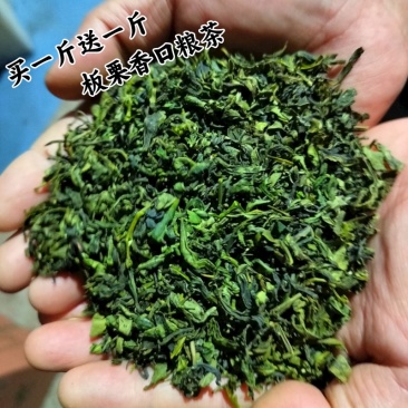 山东日照绿茶2025新茶板栗香散装批发云雾绿茶炒青抵挡茶