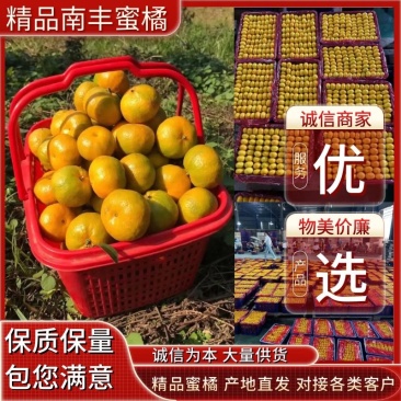 南丰蜜广桔，大量上市，规格齐全包售后，欢迎大家对接