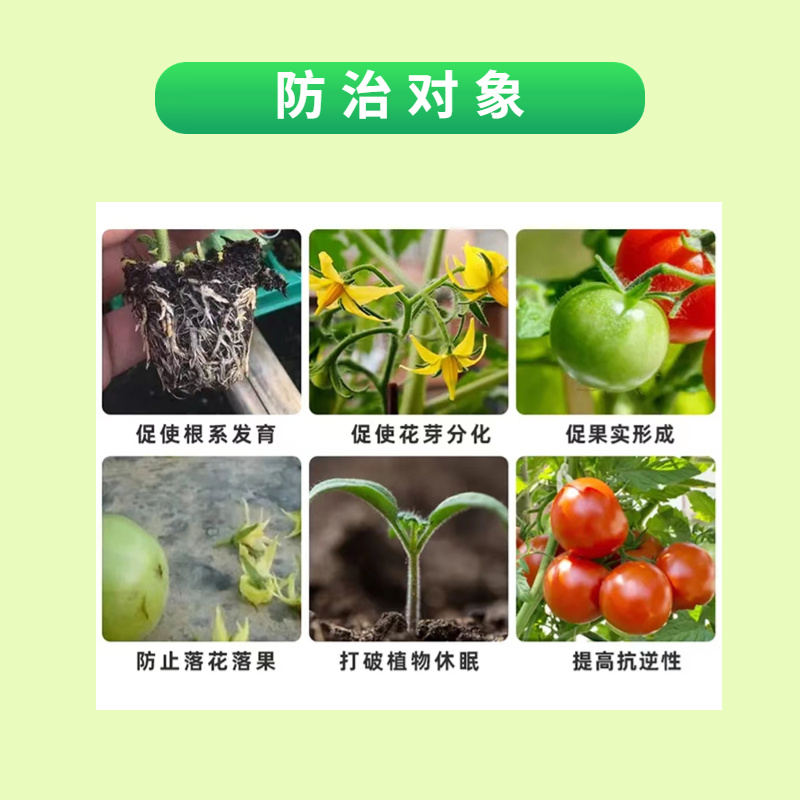 复硝酚钠1.8%植物生长调节剂保花保果促进花芽分化